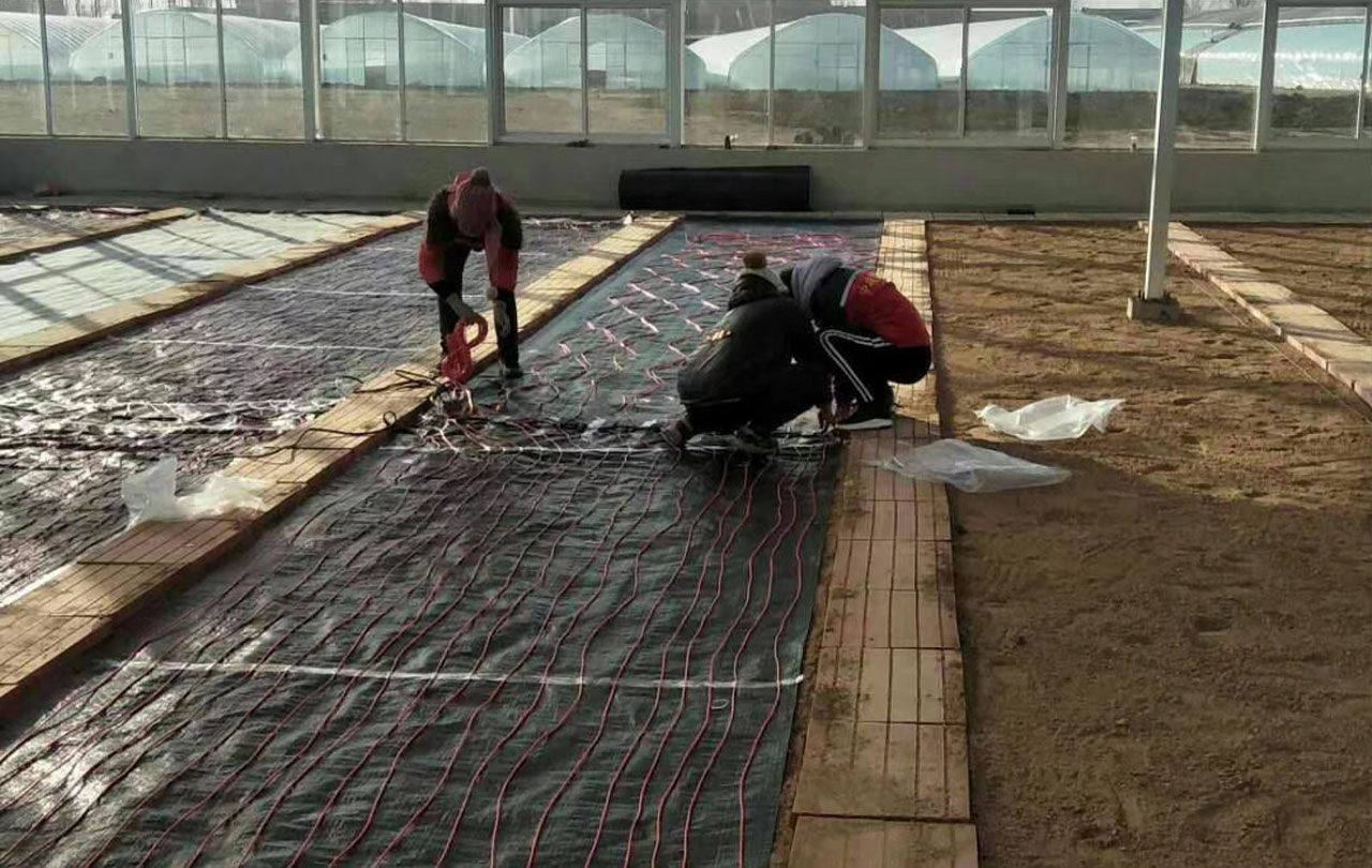 種植大棚電地暖安裝中.jpg