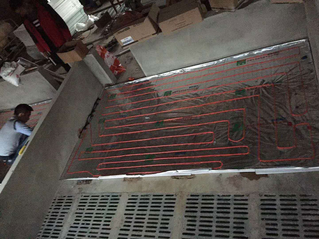 豬舍電地暖施工.jpg