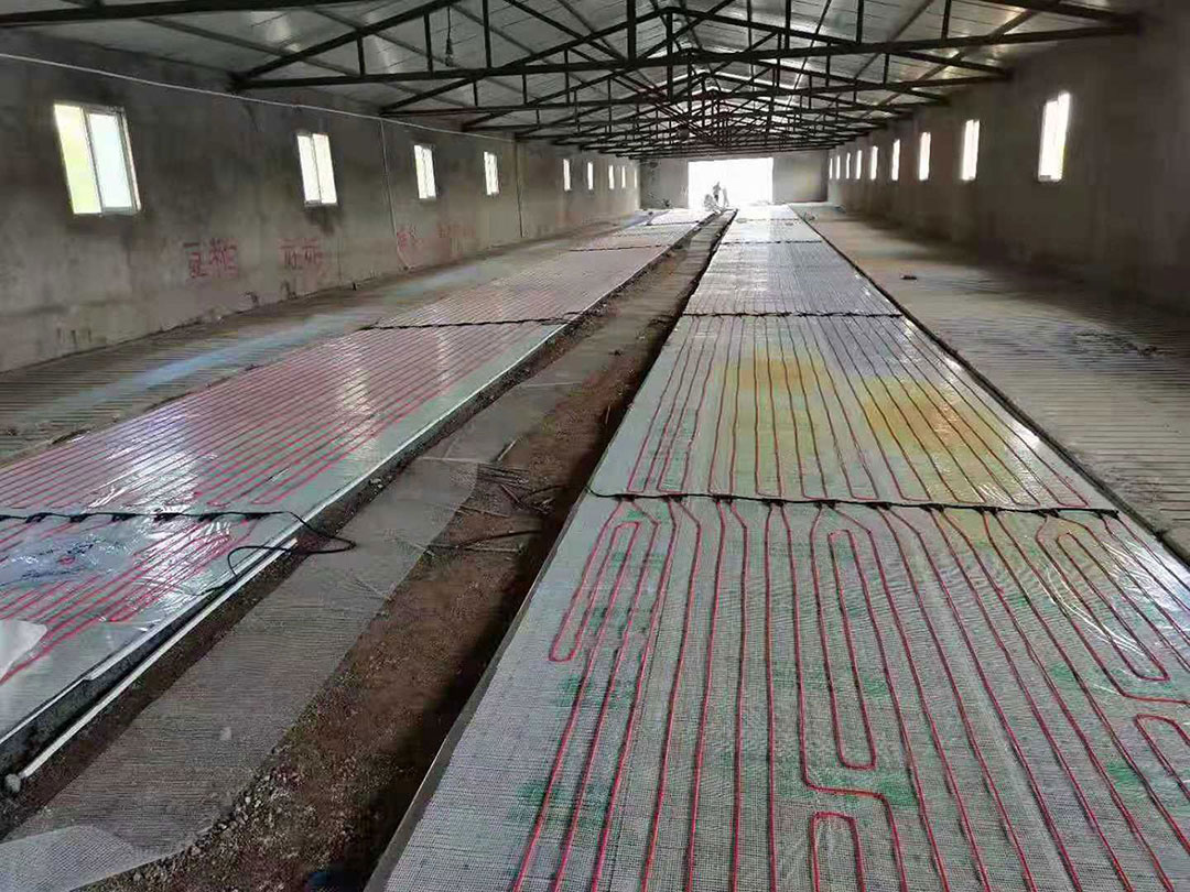 豬舍電地暖案例.jpg
