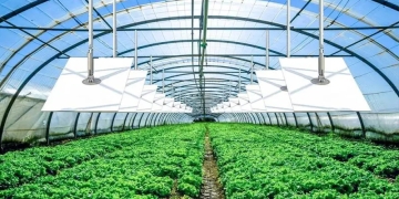 大棚冬季如何采暖，兩種石墨烯電熱膜采暖方案